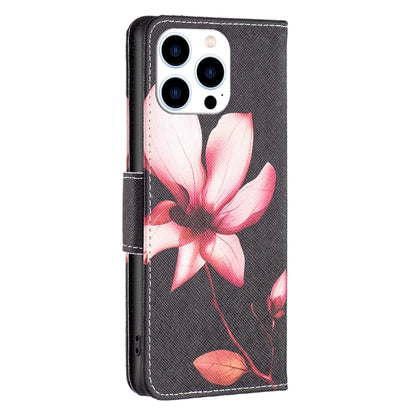 For iPhone 16 Pro Colored Drawing Pattern Flip Leather Phone Case(Lotus) - iPhone 16 Pro Cases by buy2fix | Online Shopping UK | buy2fix