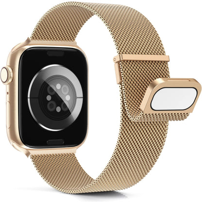 For Apple Watch 6 40mm Milan Double Magnetic Steel Mesh Watch Band(Rose Gold) - Watch Bands by buy2fix | Online Shopping UK | buy2fix