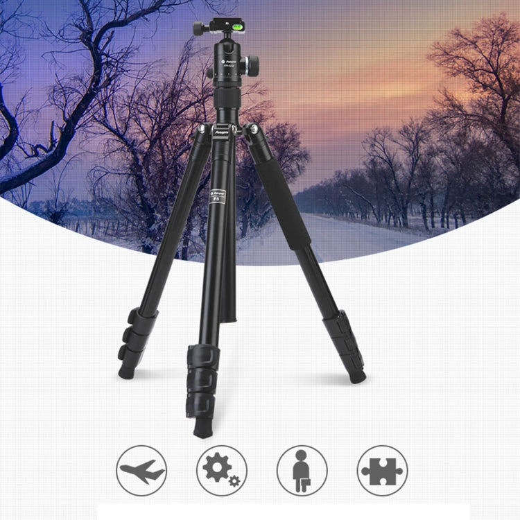 Fotopro F5 4-Section Quick Unlock Tripod Monopod with Ball Head (Black) - Tripods by Fotopro | Online Shopping UK | buy2fix