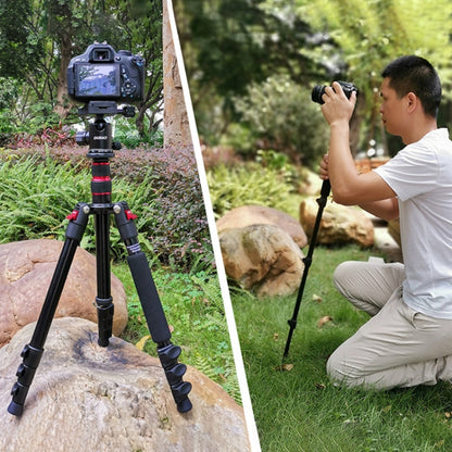 TRIOPO Oubao A-208S Adjustable Portable  Aluminum Alloy Tripod with Ball Head for SLR Camera - Tripods by TRIOPO | Online Shopping UK | buy2fix