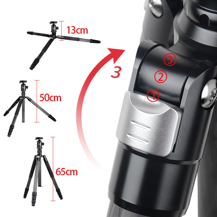 BEXIN W324C G44 Carbon Fiber Tripod Stable Shooting Camera for Video Point Dslr Camera - Camera Accessories by BEXIN | Online Shopping UK | buy2fix