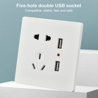 Universal Standard Wall Socket with 2 x USB Ports - Consumer Electronics by buy2fix | Online Shopping UK | buy2fix