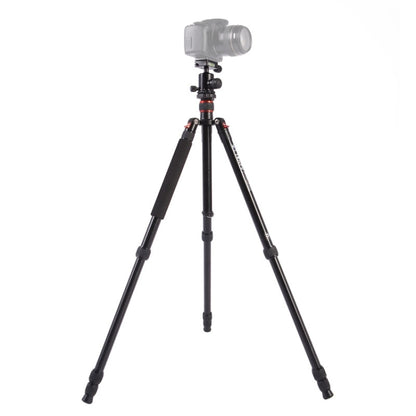 Triopo MT-2504C Adjustable Portable Aluminum Tripod (Gold) with NB-1S Ball Head (Black) for Canon Nikon Sony DSLR Camera - Camera Accessories by TRIOPO | Online Shopping UK | buy2fix