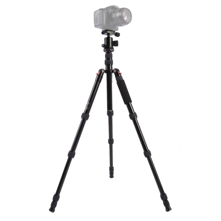 Triopo MT-2505C Adjustable Portable Aluminum Tripod with NB-1S Ball Head for Canon Nikon Sony DSLR Camera(Black) - Camera Accessories by TRIOPO | Online Shopping UK | buy2fix