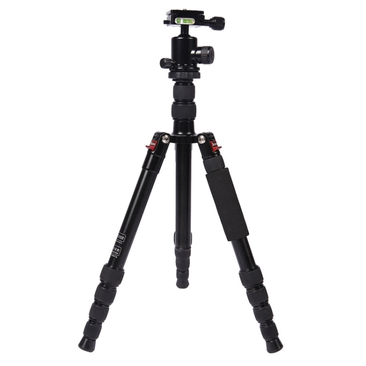 Triopo MT-2505C Adjustable Portable Aluminum Tripod with NB-1S Ball Head for Canon Nikon Sony DSLR Camera(Black) - Camera Accessories by TRIOPO | Online Shopping UK | buy2fix