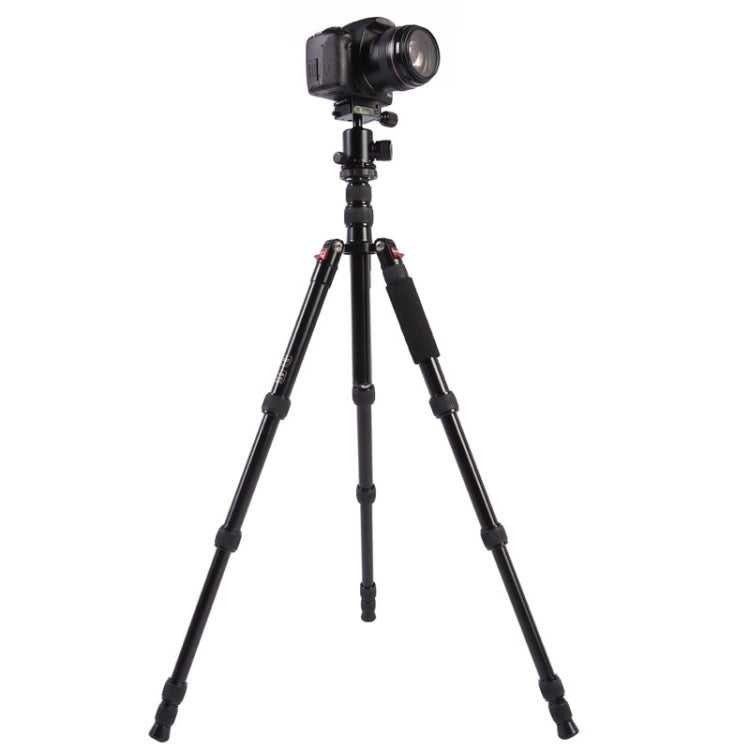 Triopo MT-2505C Adjustable Portable Aluminum Tripod with NB-1S Ball Head for Canon Nikon Sony DSLR Camera(Black) - Camera Accessories by TRIOPO | Online Shopping UK | buy2fix