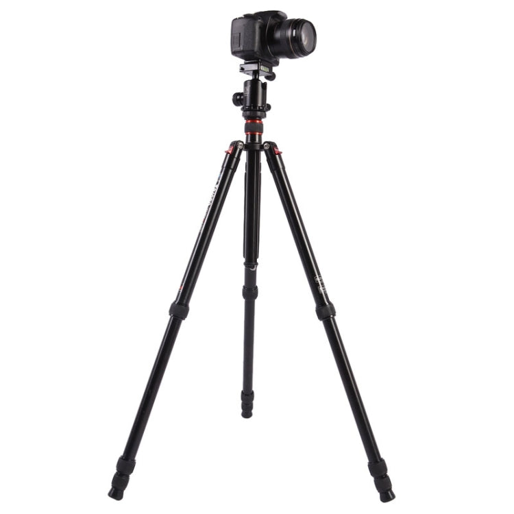 Triopo MT-2804C Adjustable Portable Aluminum Tripod (Gold) with NB-2S Ball Head (Black) for Canon Nikon Sony DSLR Camera - Tripods by TRIOPO | Online Shopping UK | buy2fix