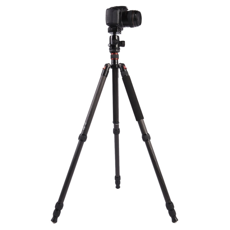 Triopo GT-2804X8.C Adjustable Portable Carbon Fiber Tripod with B-2 Aluminum Ball Head for Canon Nikon Sony DSLR Camera(Black) - Camera Accessories by TRIOPO | Online Shopping UK | buy2fix