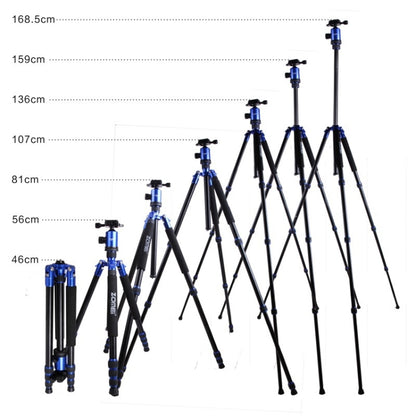 ZOMEI Z888 Portable Professional Travel Aluminium Tripod Monopod with Ball Head for Digital Camera(Blue) - Camera Accessories by ZOMEI | Online Shopping UK | buy2fix