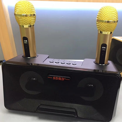 SDRD SD-301 2 in 1 Family KTV Portable Wireless Live Dual Microphone + Bluetooth Speaker(Black) - Consumer Electronics by SDRD | Online Shopping UK | buy2fix