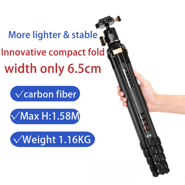 QingZhuangShiDai Q8805C CNC Camera SLR Carbon Fiber Tripod Without Central Axis(Black Gold) - Tripods by QingZhuangShiDai | Online Shopping UK | buy2fix