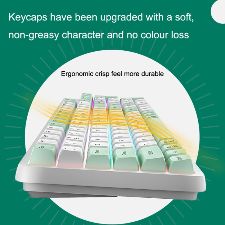 LANGTU GK102 102 Keys Hot Plugs Mechanical Wired Keyboard. Cable Length: 1.63m, Style: Red Shaft (Matcha Green) - Wired Keyboard by LANGTU | Online Shopping UK | buy2fix