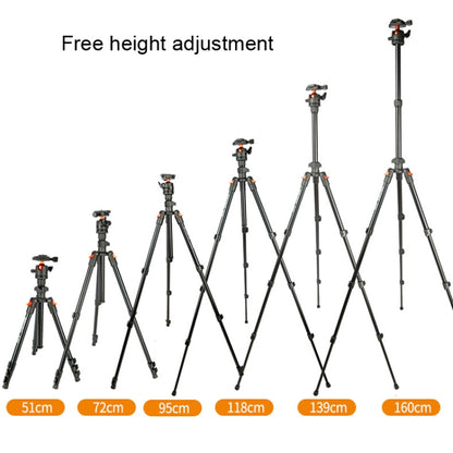 TRIOPO K268+KJ36 DSLR Tripod Photography Stand Portable Cell Phone Micro SLR Tripod - Tripods by TRIOPO | Online Shopping UK | buy2fix