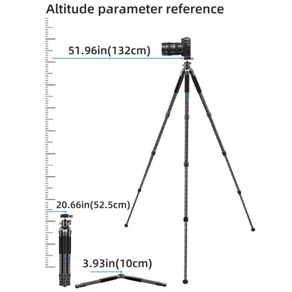 BEXIN RC254 Carbon Fiber Portable Folding Tripod SLR Camera Low Gravity Center Gimbal Photography Bracket - Tripods by BEXIN | Online Shopping UK | buy2fix